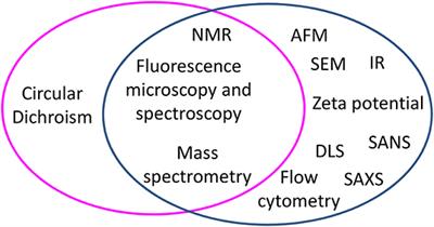 Application of Biophysical Techniques to Investigate the Interaction of Antimicrobial Peptides With Bacterial Cells